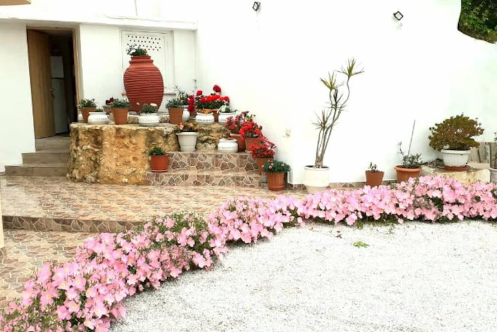 Appartamento Newly Reconstructed Flat 107Sqm! La Canea Esterno foto